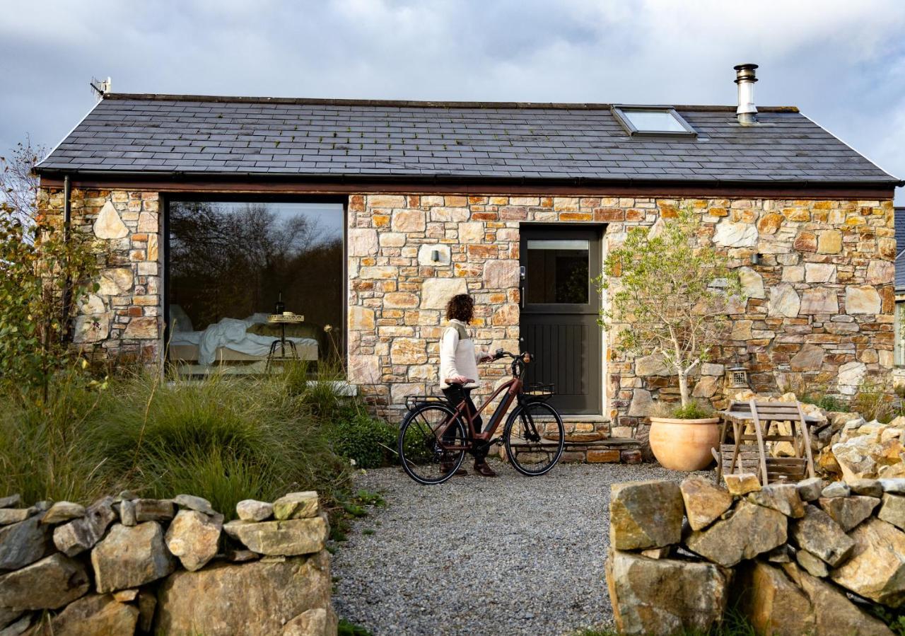 Villa Fernwood à Clifden Extérieur photo