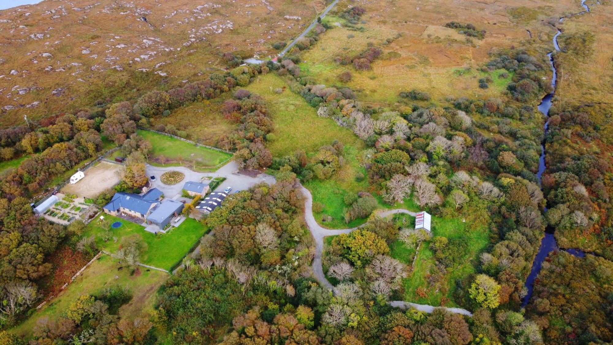 Villa Fernwood à Clifden Extérieur photo