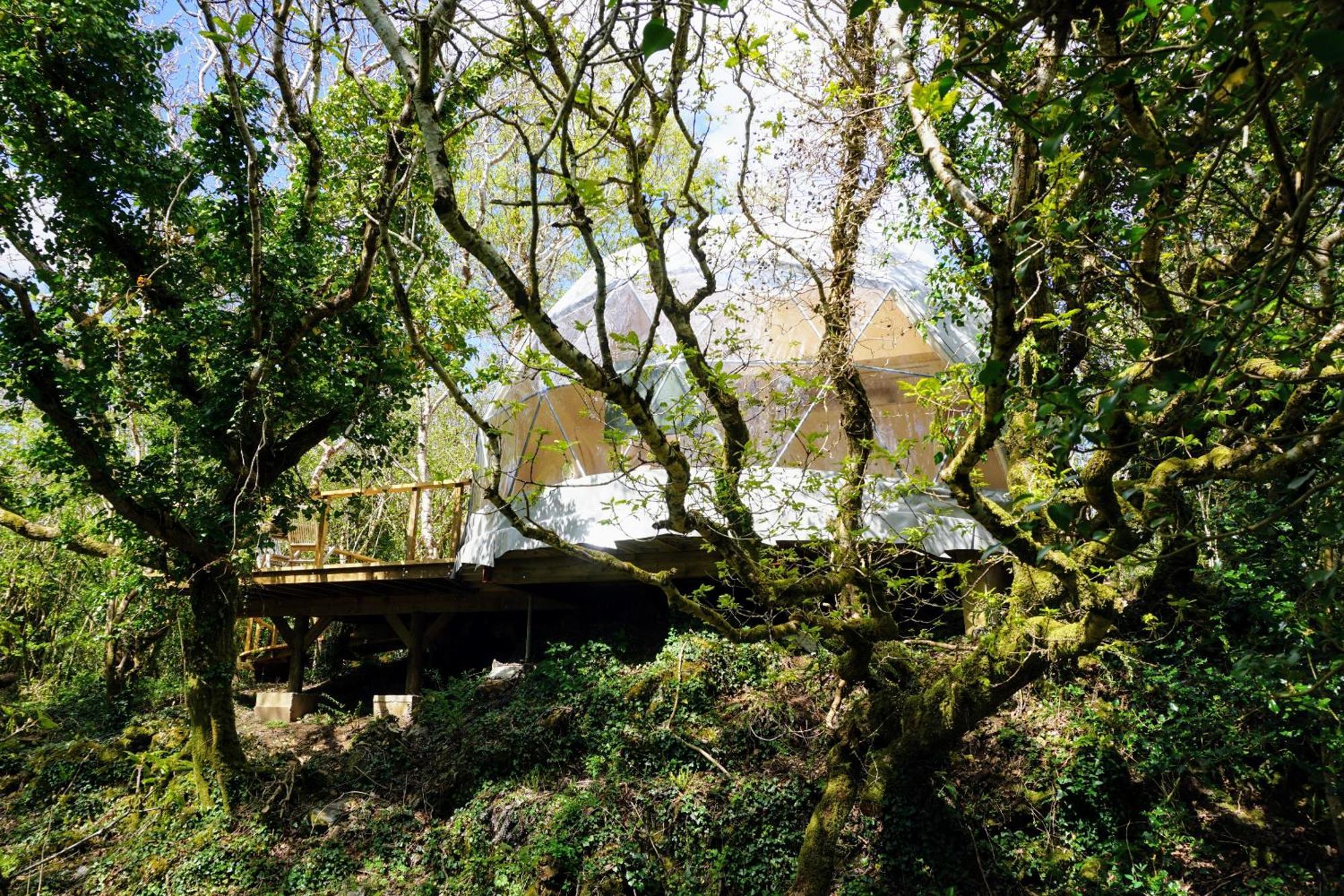 Villa Fernwood à Clifden Chambre photo